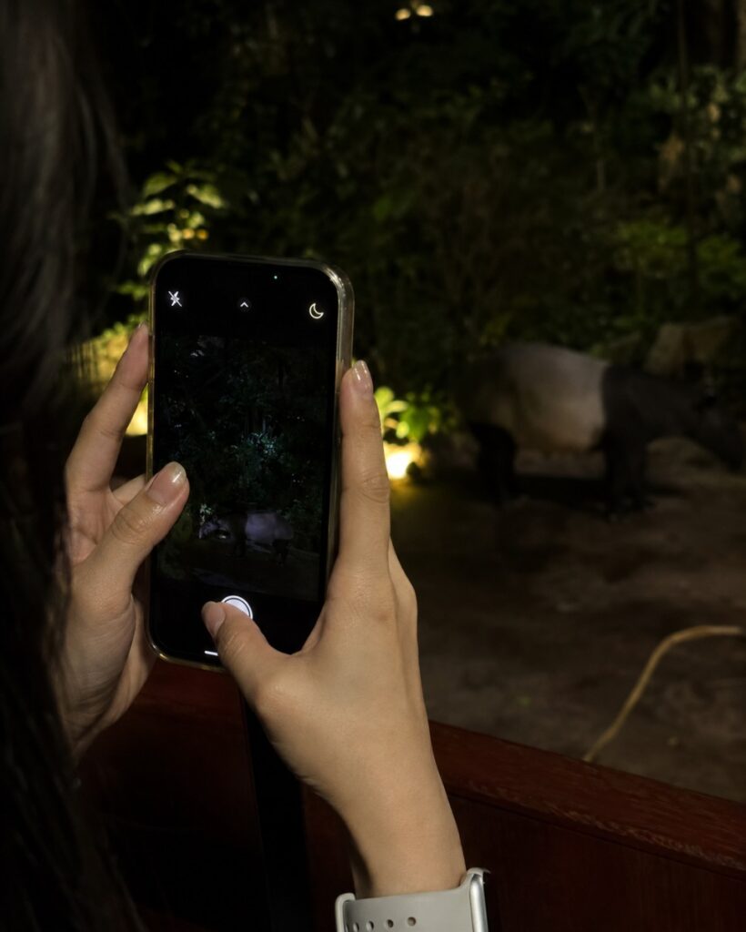 Walking trail at the Night Safari