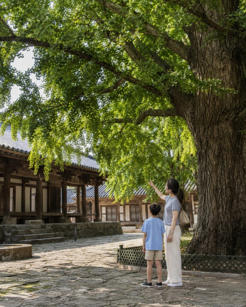 전주 한옥마을 한눈에 보는 요약