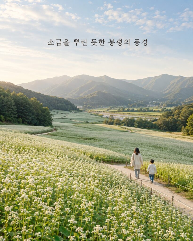 Hyoseok Cultural Festival grounds in Bongpyeong
