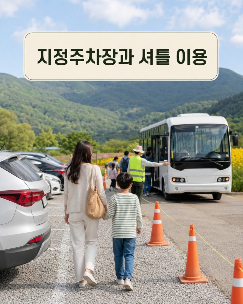 Temporary parking around the Hyoseok Cultural Festival