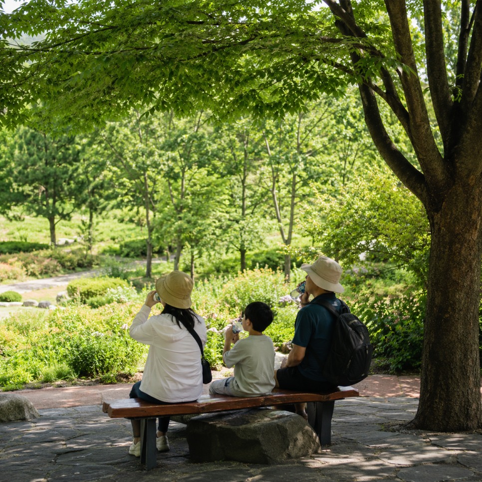 Garden paths in summer